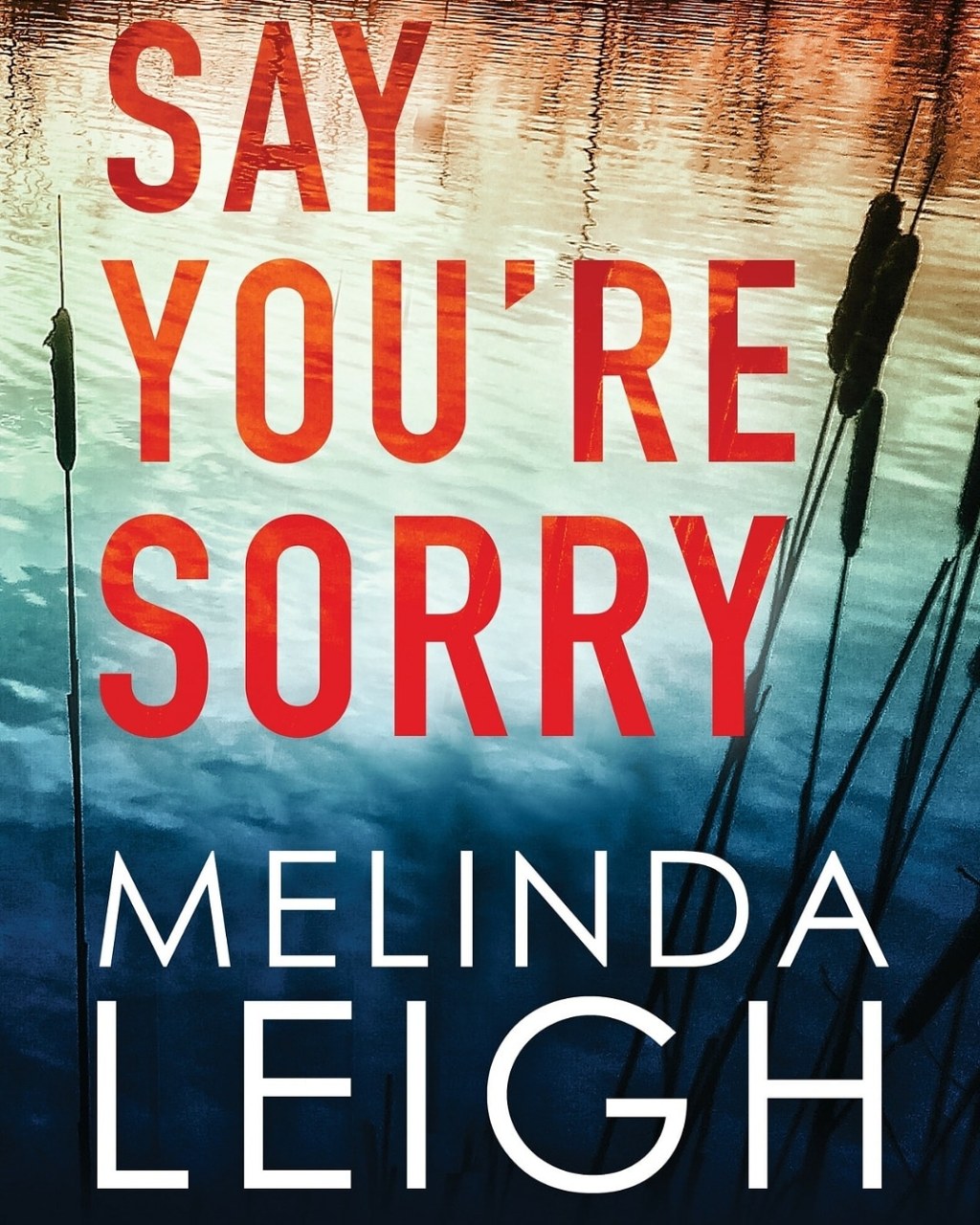 Say You’re Sorry – Melinda Leigh( Book#1 Morgan Dane Series) (#BookReview)