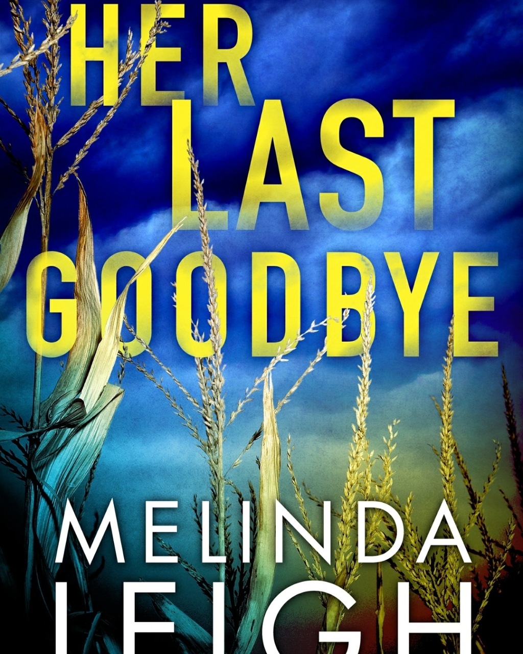 The Last Goodbye – Melinda Leigh (Book #2 Morgan Dane Series) #BookReview